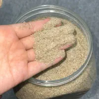فروش گزو