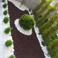 باغبانی،حرص،کوددهی،گلکاری وگل فروشی|خدمات باغبانی و درختکاری|کاشان, مفتح|دیوار