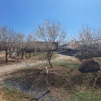 گاوداری فروشی|فروش دفتر صنعتی، کشاورزی، تجاری|لردگان, |دیوار