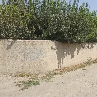 زمین خوش قیمت،لوکیشن تاپ،ویلاشهرکی.تهراندشت.سرخاب|فروش زمین و ملک کلنگی|هشتگرد, تهران دشت|دیوار