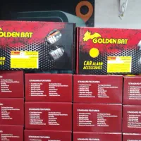 دزدگیر ساده چیتا/گلدن بت/ماجیکار