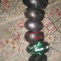 موس ارزان