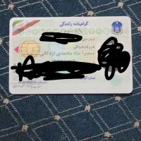 یک کیف بامدارک شناسایی پیدا شده  خیابان سیدالشهدا