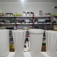 گلدان بلند کوتاه گل سانسوریا سرامیکی|گل و گیاه طبیعی|قم, باغ شریفی|دیوار