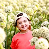 فرمالیته با شرایط ویژه