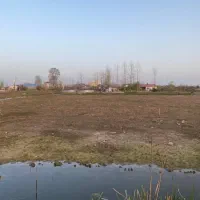 فروش پرورش ماهی ۲ هکتاری تمام‌در طرح هادی|فروش دفتر صنعتی، کشاورزی، تجاری|کیاشهر, |دیوار