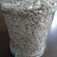 بذر چنار توک دیم (توم گره گه)