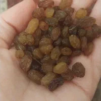 کشمش،مویز،لوبیا ،عرق نعناع خانگی