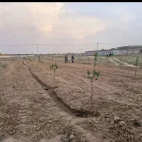 500 متر زمین فروشی شهرک بهار مشهد مناسب خانه باغ