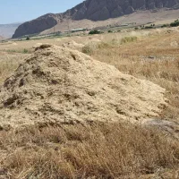۲۰ انبار کاه گندم ابی قلعه شاهین