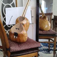 تار خوش نواز با قیمت استثنایی