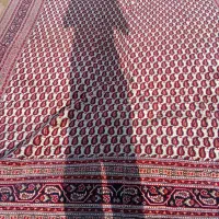قالی نو متری