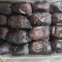 خرما مضافتی شهرستان بم