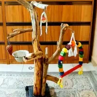 واگذاری پرنده