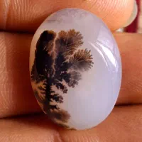 سنگ شجر|جواهرات|اراک, |دیوار