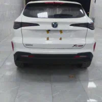 چانگان پلاک شده