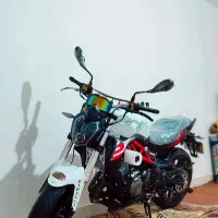 بنلی ۳۰۰ جفت