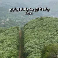 اجاره ی سه واحد دلنشین در قلب طبیعت|اجارهٔ کوتاه‌مدت آپارتمان و سوئیت|بره‌سر, |دیوار