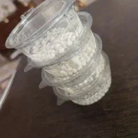 خاویار حلزون