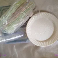 ظروف یک بار مصرف