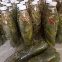 خیارشور بطری ودبه.ترد.ادویه .کره مغزیجات.مانکن|خوردنی و آشامیدنی|بجنورد, |دیوار
