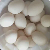 تخممرغ وتخم اردک|خوردنی و آشامیدنی|اسدآباد, |دیوار