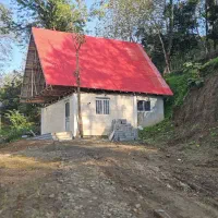 اجاره-ویلای-جنگلی