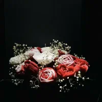 دکوری و تزیینی|صنایع دستی و سایر لوازم تزئینی|شیراز, پودنک|دیوار