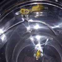 سبزی خوردکن|خردکن، آسیاب، غذاساز|اصفهان, شاه پسند|دیوار