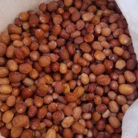 فروش سنجد درجه یک