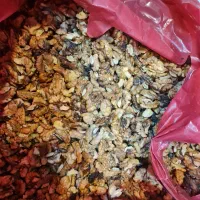 فروش مستقیم مغز گردو تویسرکان ، کشمش پاک شده|خوردنی و آشامیدنی|اسلام‌شهر, شهرک قائمیه|دیوار