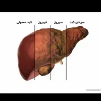 دکتر گیاهی