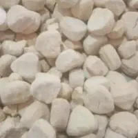 کشک گوسفندی )بز)