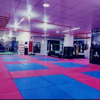 آموزش کیک بوکسینگ به صورت حرفه ای،خصوصی وعمومی