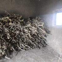 فروش چوب انار