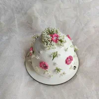 کیک و کاپ کیک|خدمات پذیرایی، مراسم|رشت, پیرکلاچای|دیوار