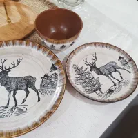 ظروف کاملا نو و استفاده نشده