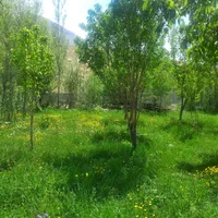 اجاره ویلا سوییت آپارتمان درکوهرنگ (چلگرد)|اجارهٔ کوتاه‌مدت ویلا و باغ|شهرکرد, |دیوار