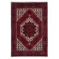 فرش دستباف روستایی زیبا(دوجفت)