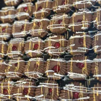 فروشنده صبح کار