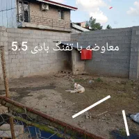 داگو 7ماهه نر