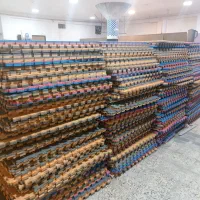 تاتامی.تشک .ورزشی.تجهیزات ورزشی|تجهیزات ورزشی|خمینی‌شهر, |دیوار