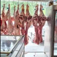 به تعدادی نیروی اقا نیازمندیم
