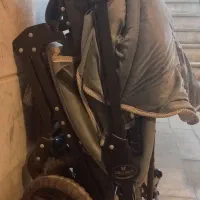 کالسکه ی دلیجان در حد نو