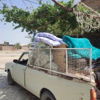 پیکان بار24ساعته عدالت