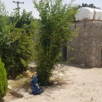 باغ نیمه کاره 530 متری برق کنتور و سند و چاه|فروش زمین و ملک کلنگی|اصفهان, براآن شمالی|دیوار