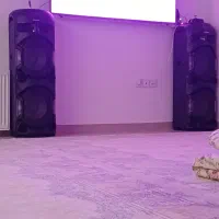 جفت باند مارک دنای ۴۰ وات