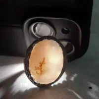 انگشتر شجر طبیعی معاوضه با ساب