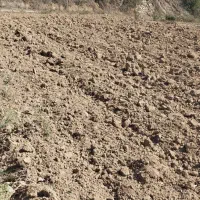 فروش زمین در روستای سوسرا|فروش زمین و ملک کلنگی|نوده خاندوز, |دیوار
