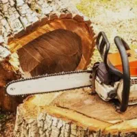 برش ودوخت و چوب درحیاط و باغ